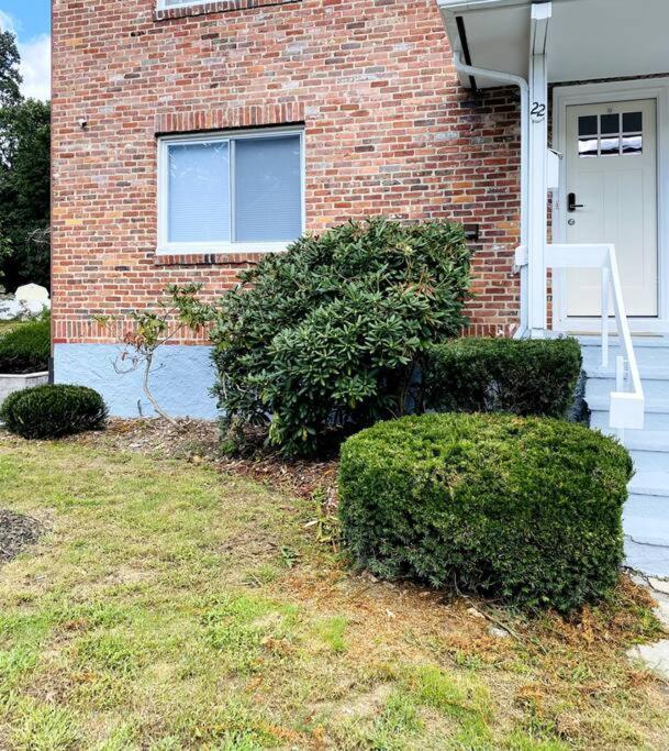Cozy Getaway Apartment! Free Parking Apartment