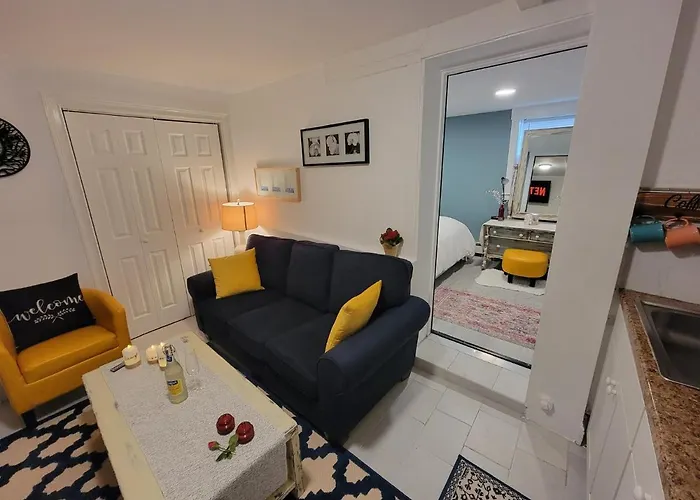Comfy And Chic Boston Apartment! Free Parking