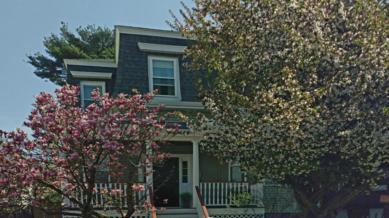 2 Bedroom In Jamaica Plain With Parking