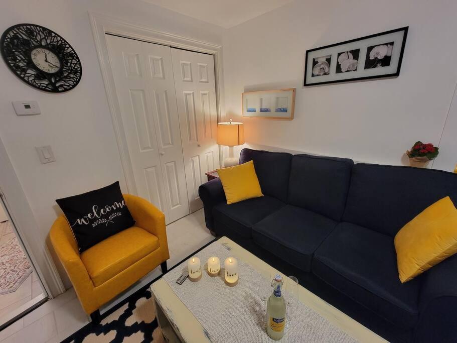 Comfy And Chic Apartment! Free Parking *