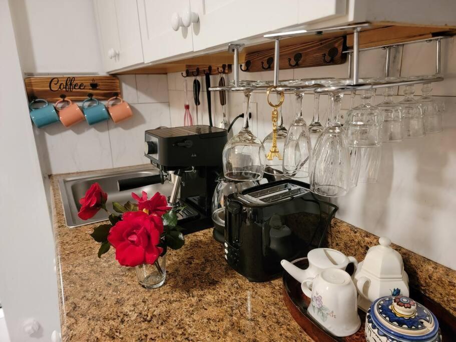 Apartment Comfy And Chic Apartment! Free Parking Boston