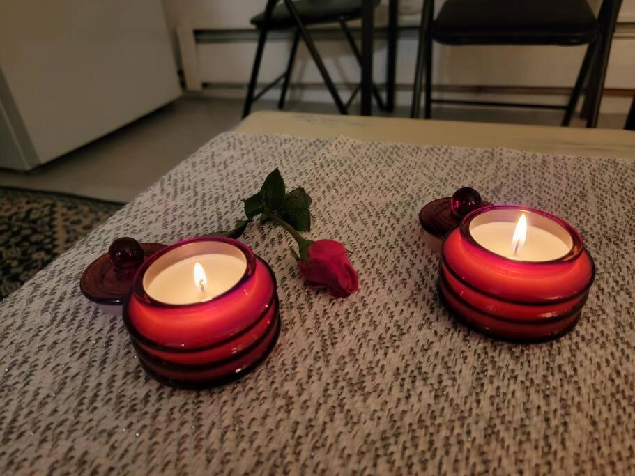 Comfy And Chic Apartment! Free Parking *