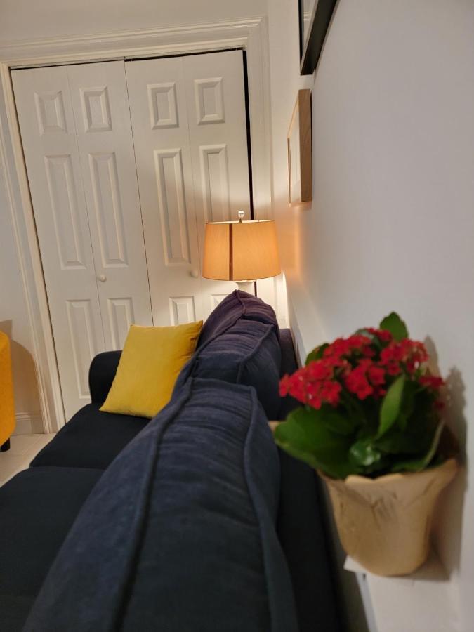 Comfy And Chic Apartment! Free Parking Apartment Boston