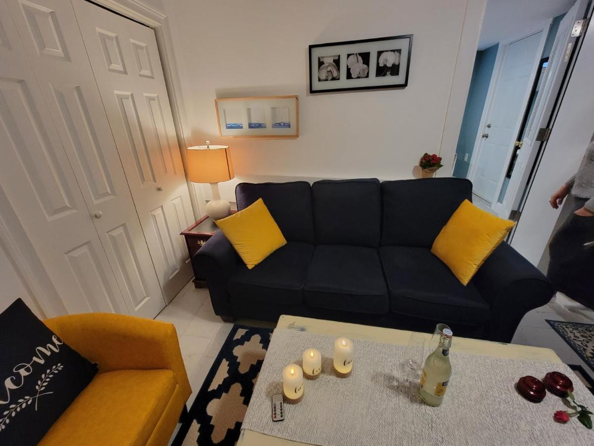 Apartment Comfy And Chic Apartment! Free Parking Boston