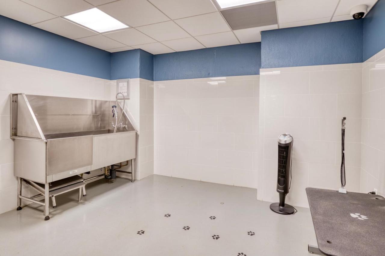 Back Bay 1br W Gym Wd Nr Dining Bos-883 Apartment