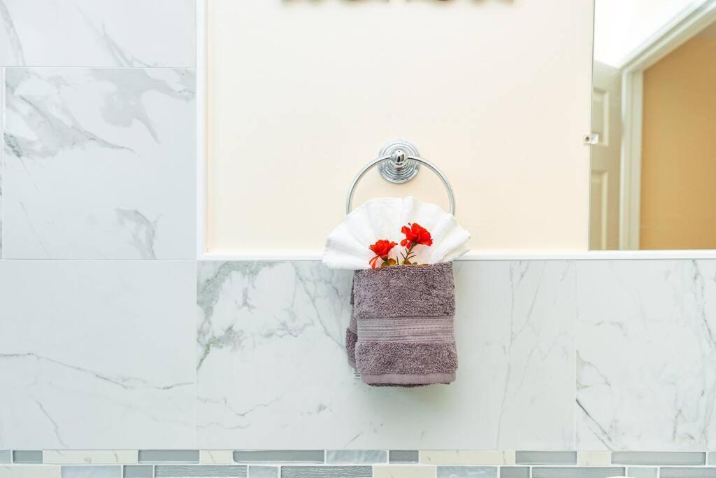 30-3 New! Heart Of Boston - Modern Cozy Apartment Apartment