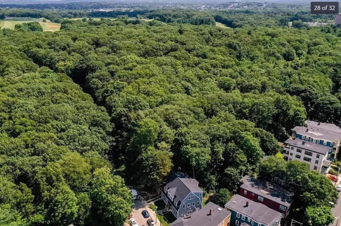 Park-side In Jamaica Plain Boston