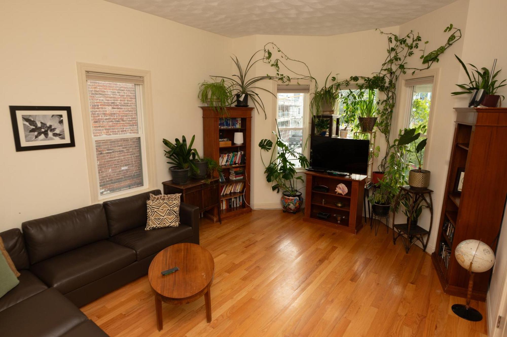 2 Bedroom In Jamaica Plain With Parking