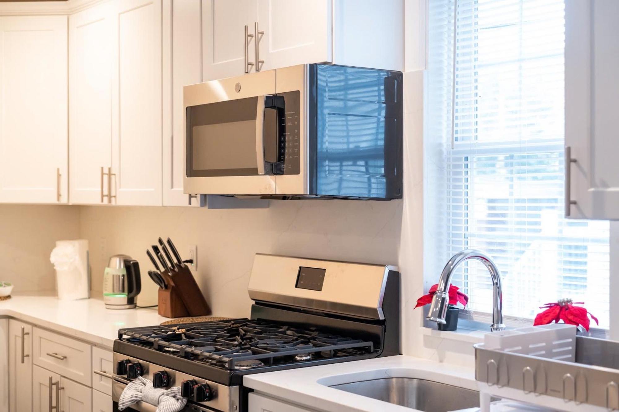 30-1 New! Full Comfort - Spacious 1St-Floor Apt Boston