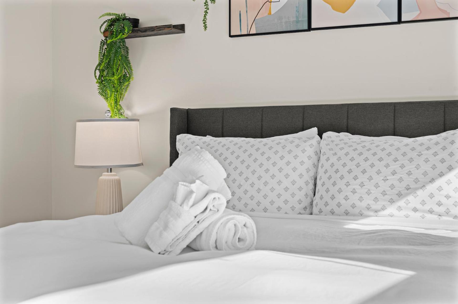 Apartment Furnished In Downtown *
