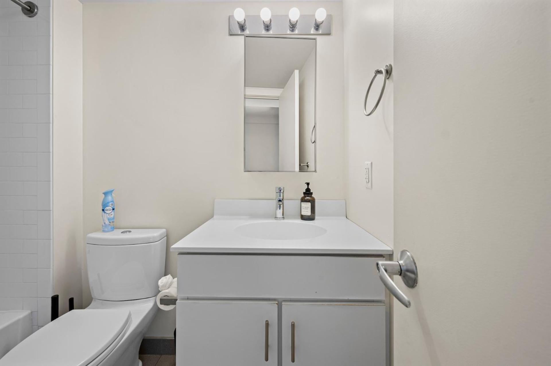 Furnished In Downtown