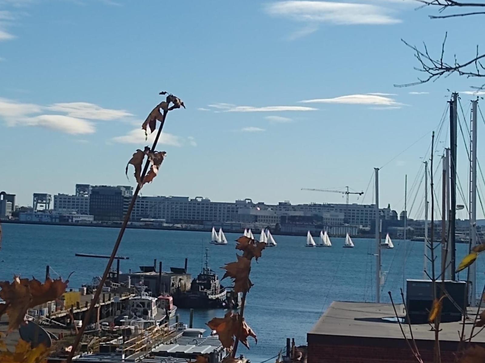 Homestay Skyline Boston