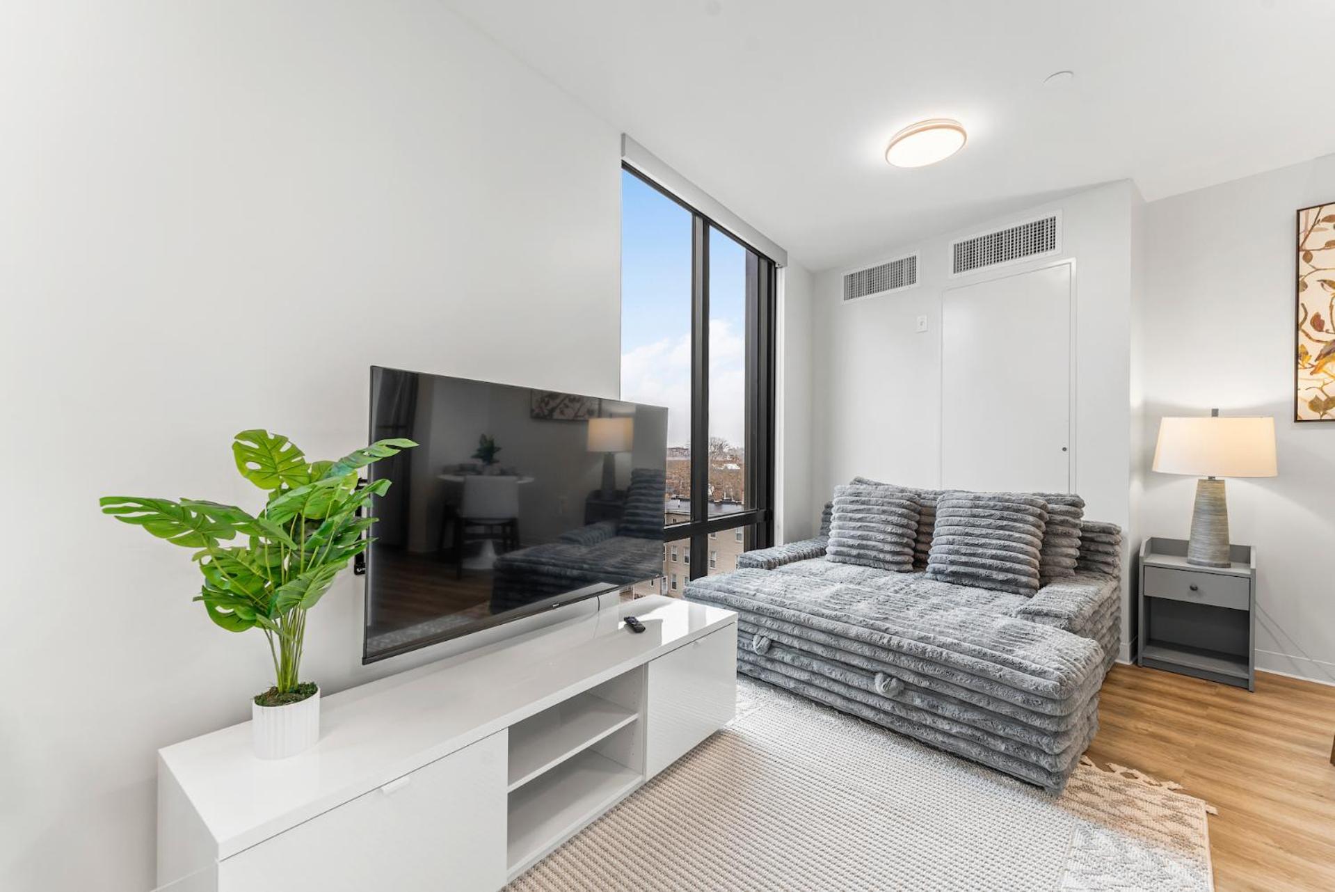 Furnished Luxury Next To Harvard Stadium Apartment