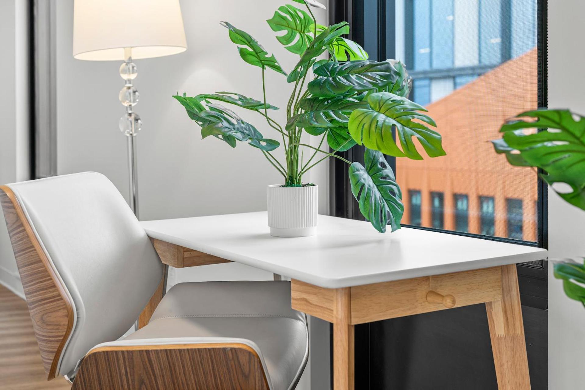 Furnished Luxury Next To Harvard Stadium * Boston