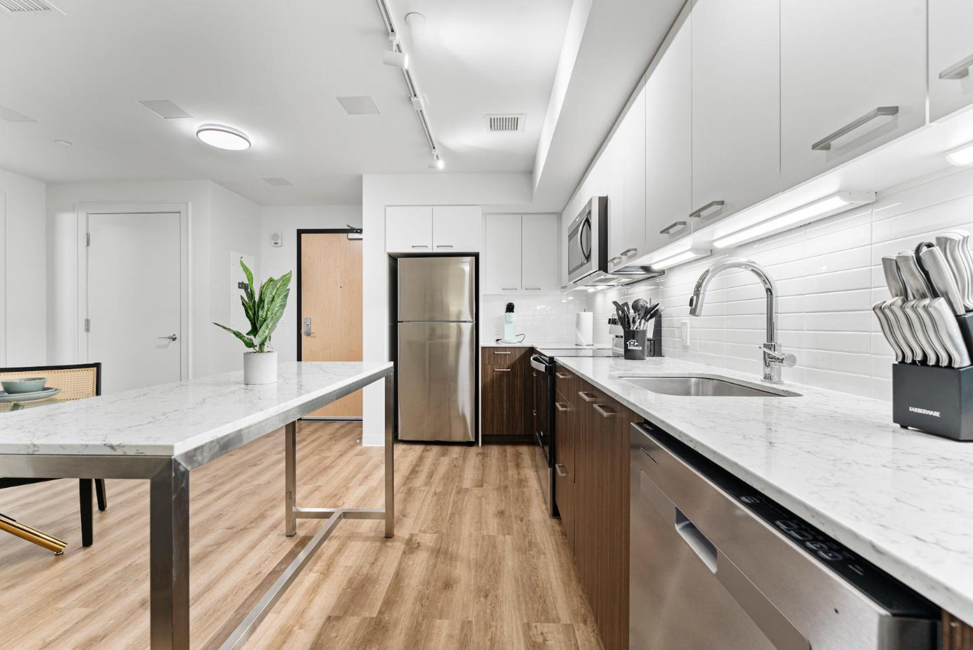 Furnished Luxury Next To Harvard Stadium Apartment Boston