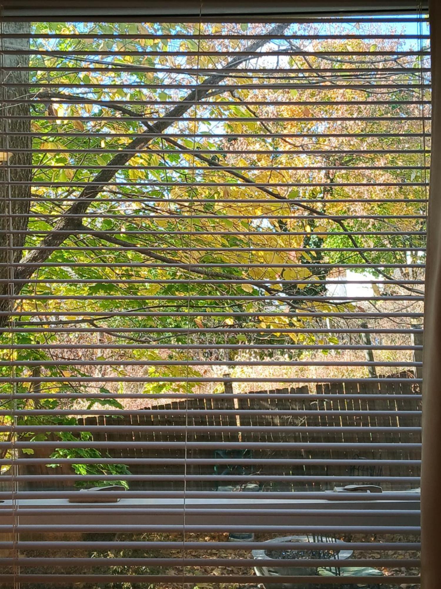 Skyline Homestay Boston
