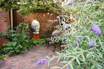 Moroccan Boutique Bed & Breakfast Boston