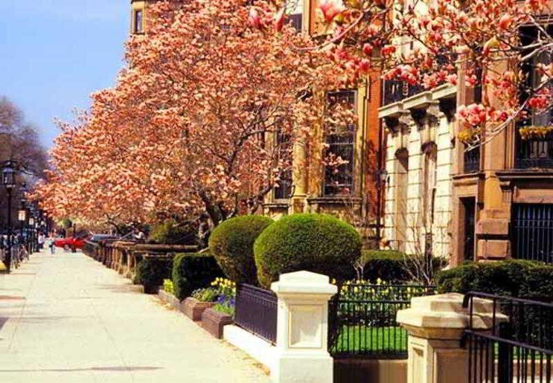 Hotel Courtyard By Marriott Logan Airport 3*