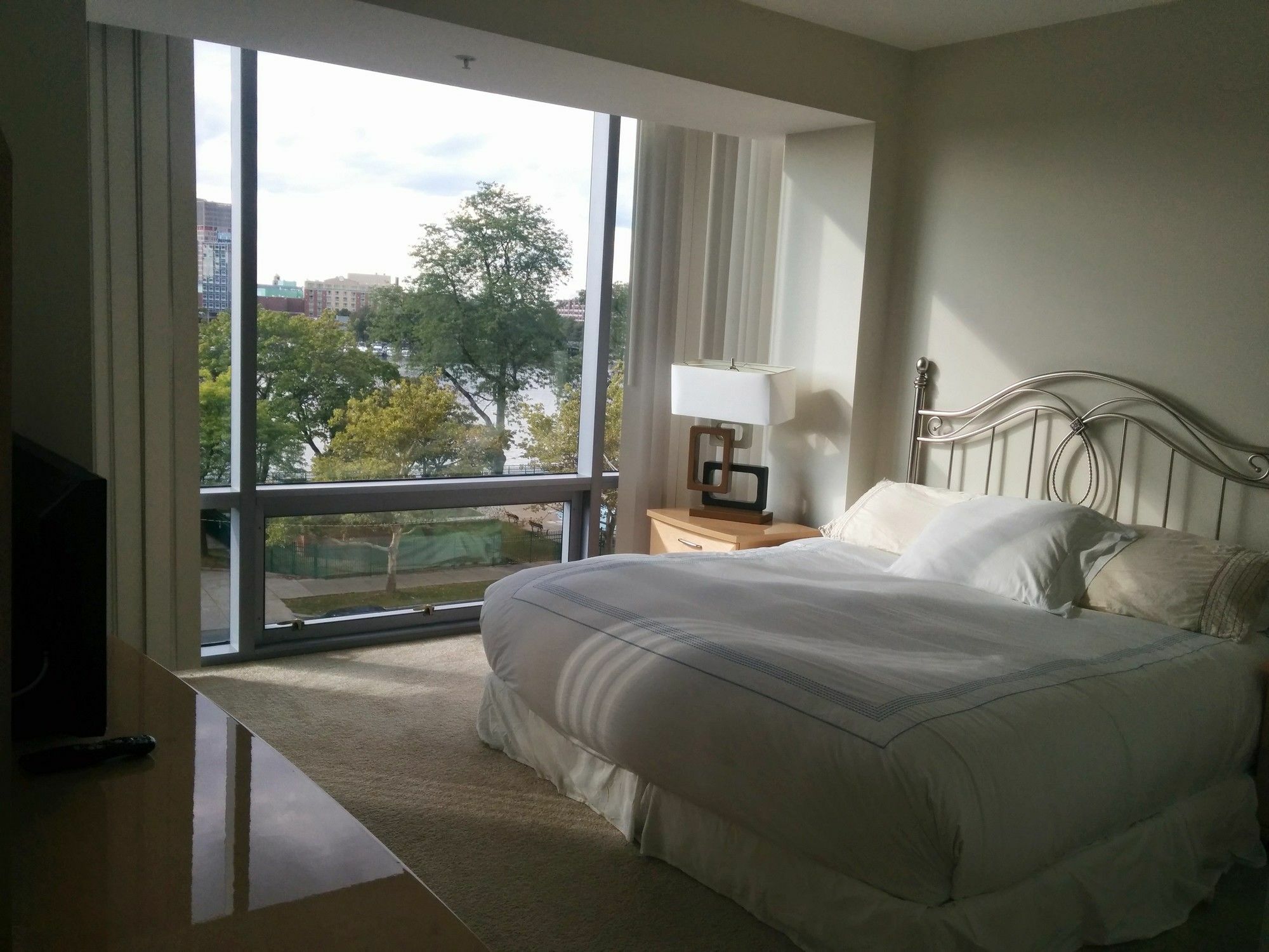 Charles River Executive Apartment