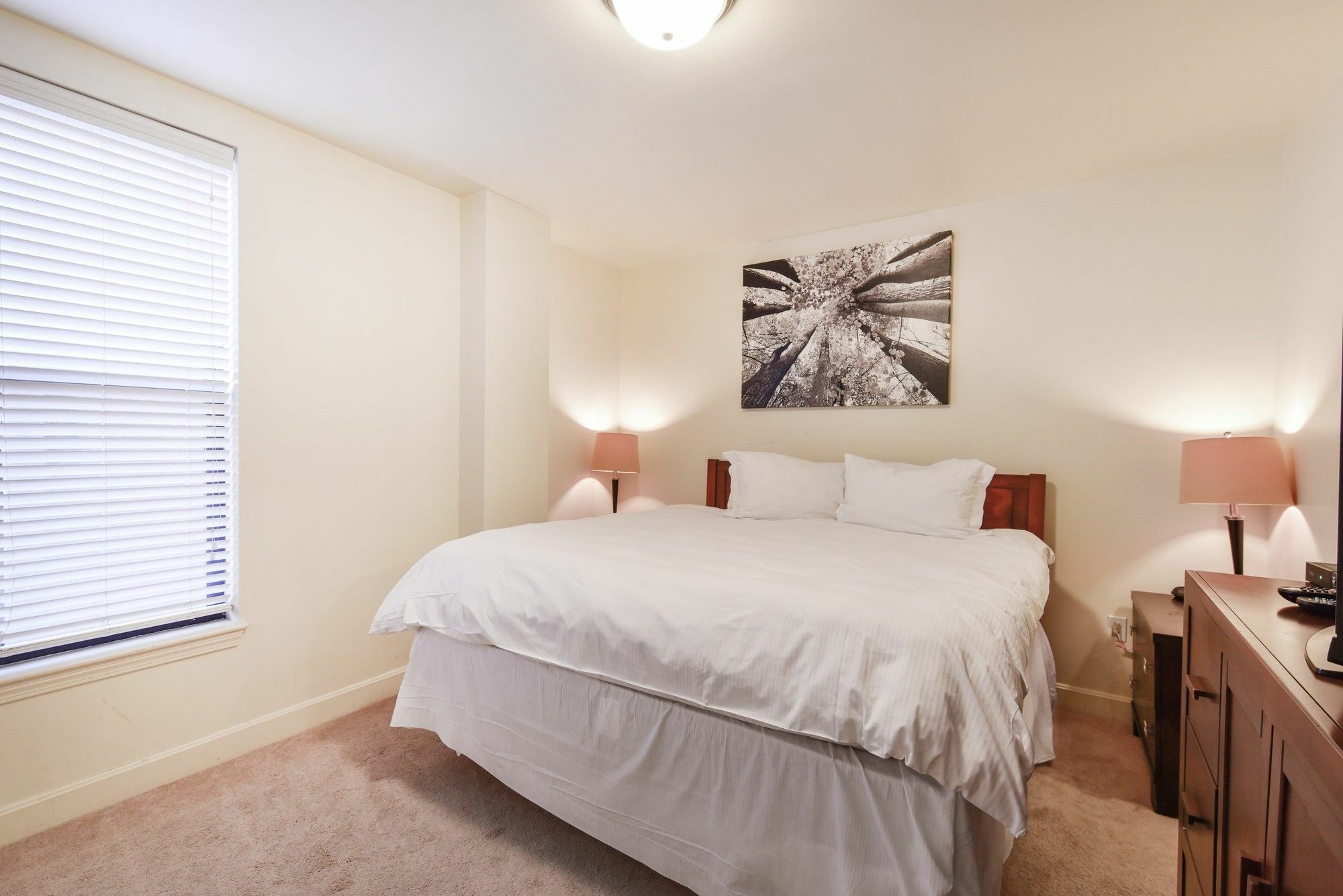 Global Luxury At Back Bay Apartment