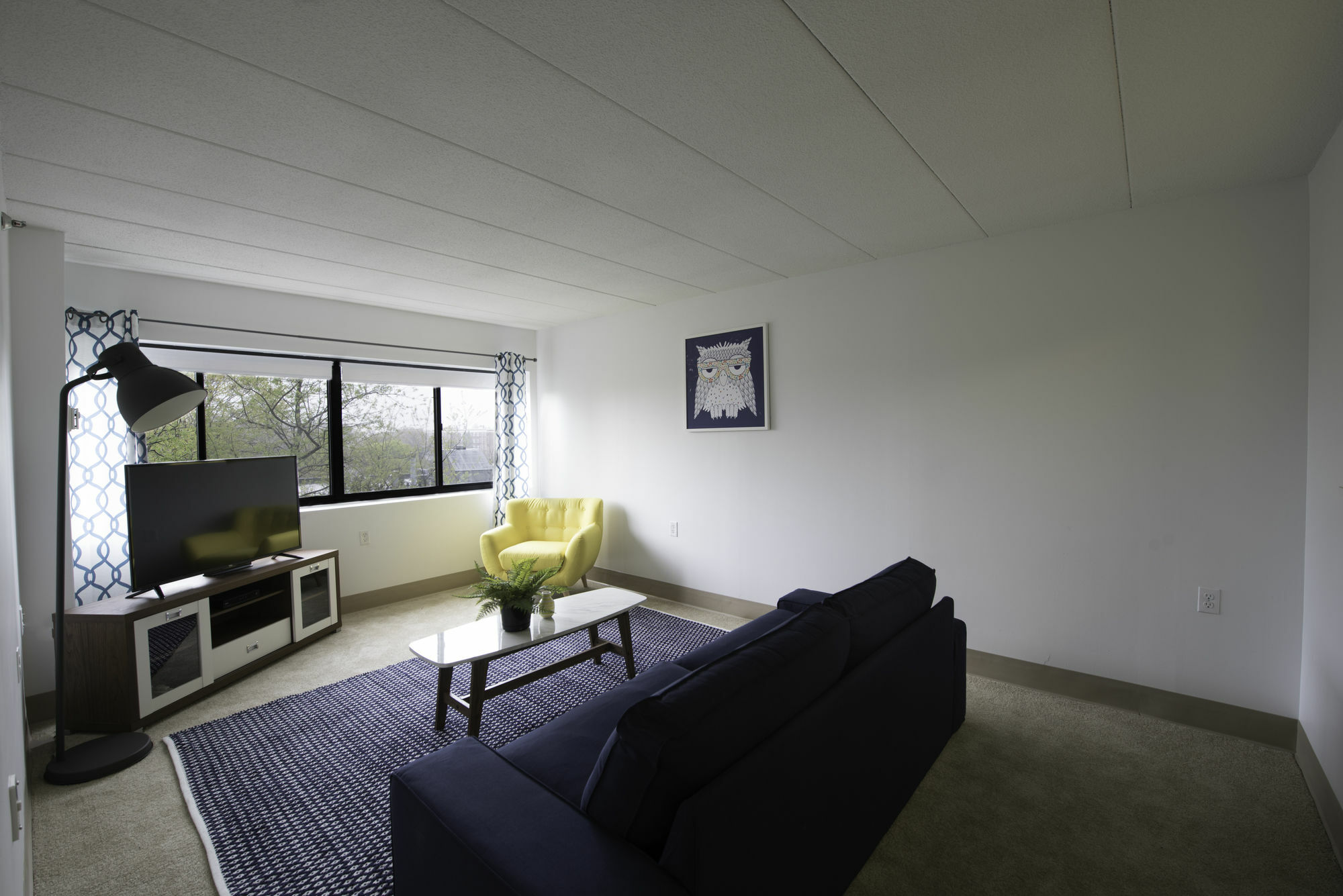 Bright 2br In Brookline By Sonder * Boston