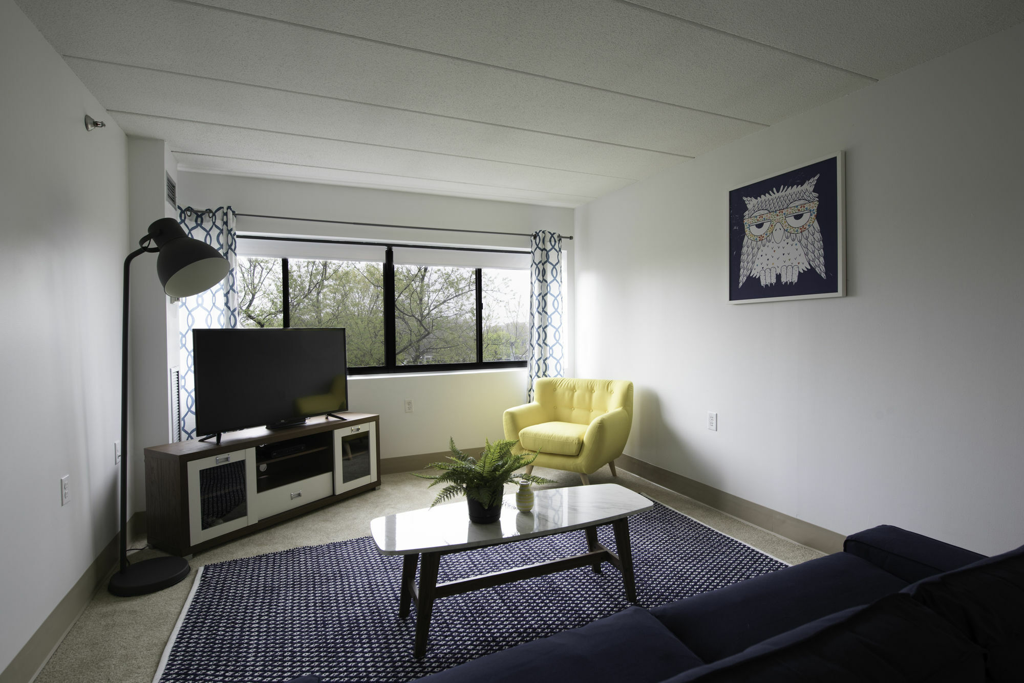 Bright 2br In Brookline By Sonder Apartment *
