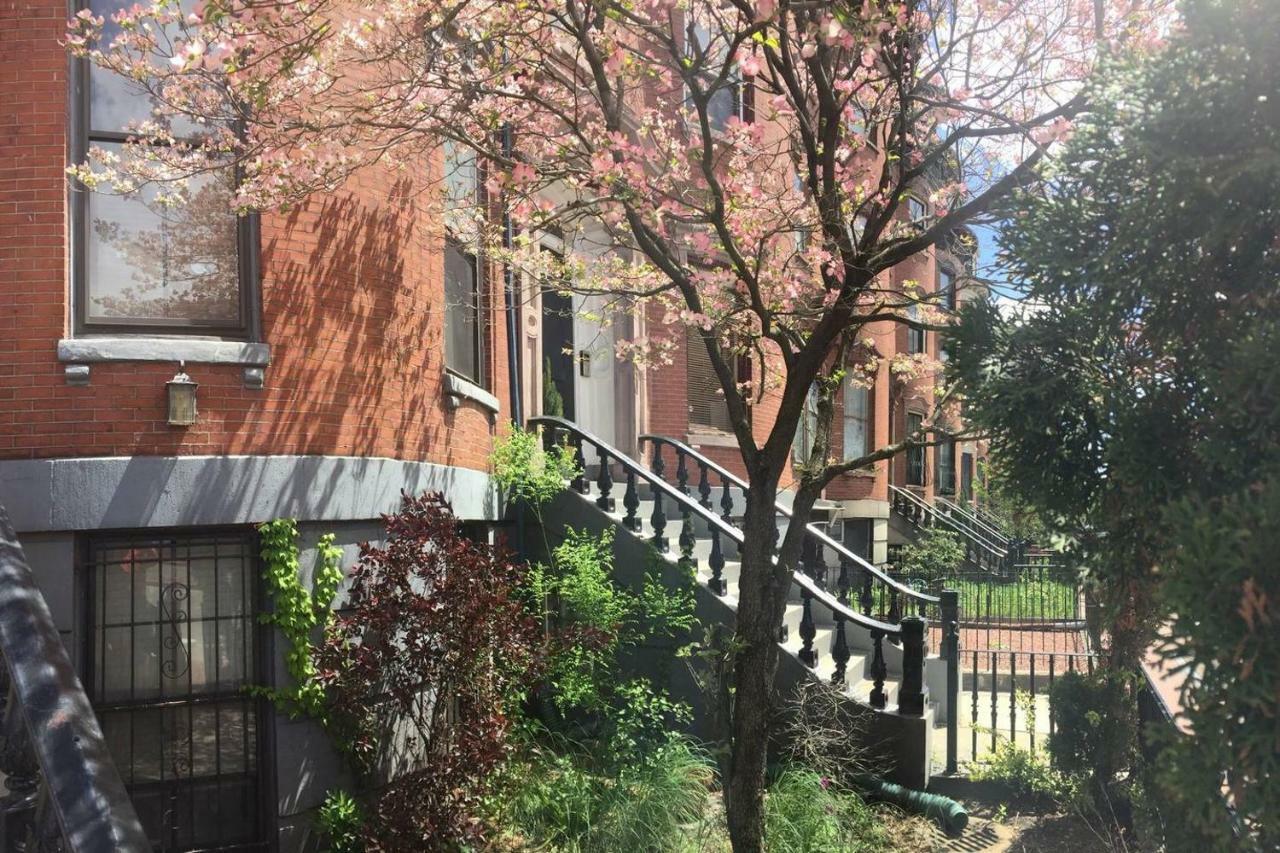 - Historic South End 1 Bedroom Apartment
