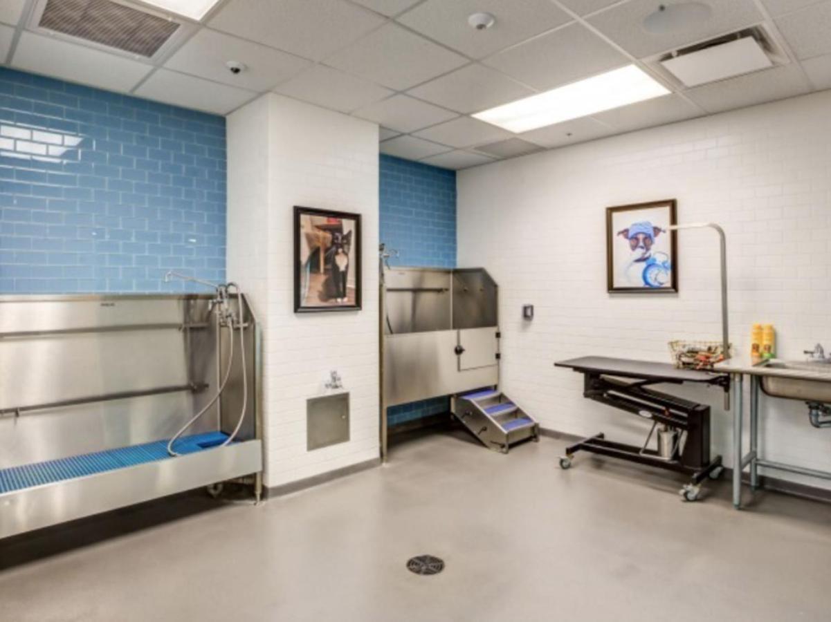East Cambridge 1br W Wd Gym Nr Lechmere T Bos-853