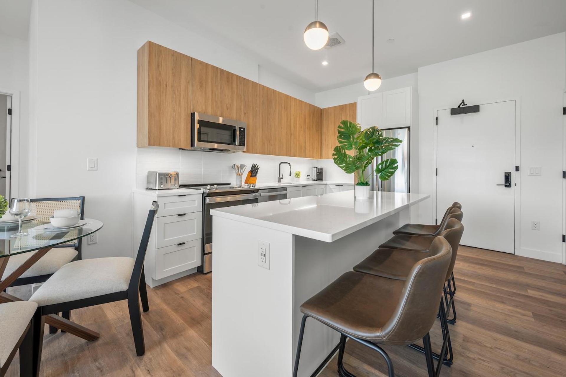 Luxury Furnished Near Logan Airport