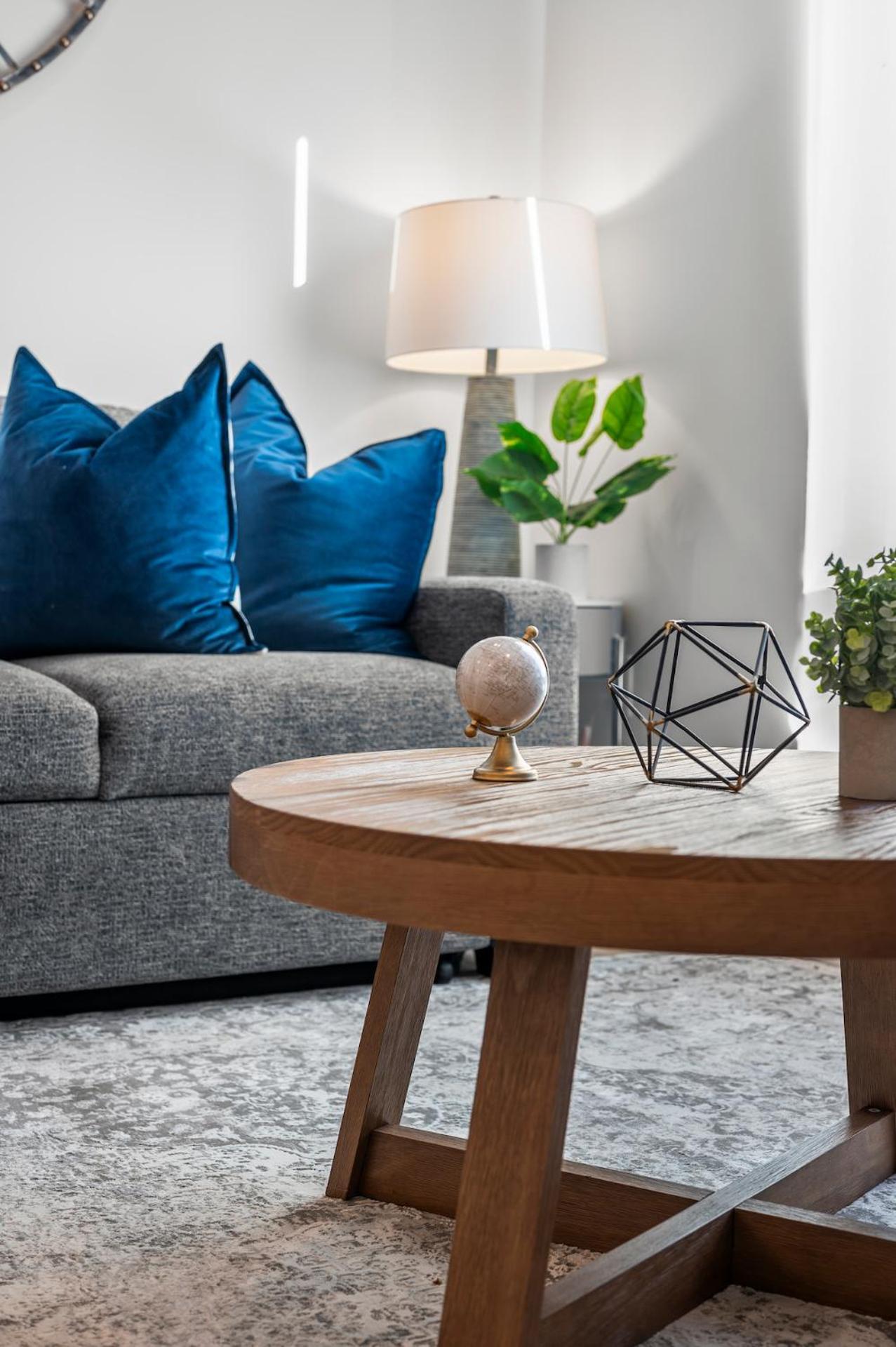 Luxury Furnished Near Logan Airport * Boston