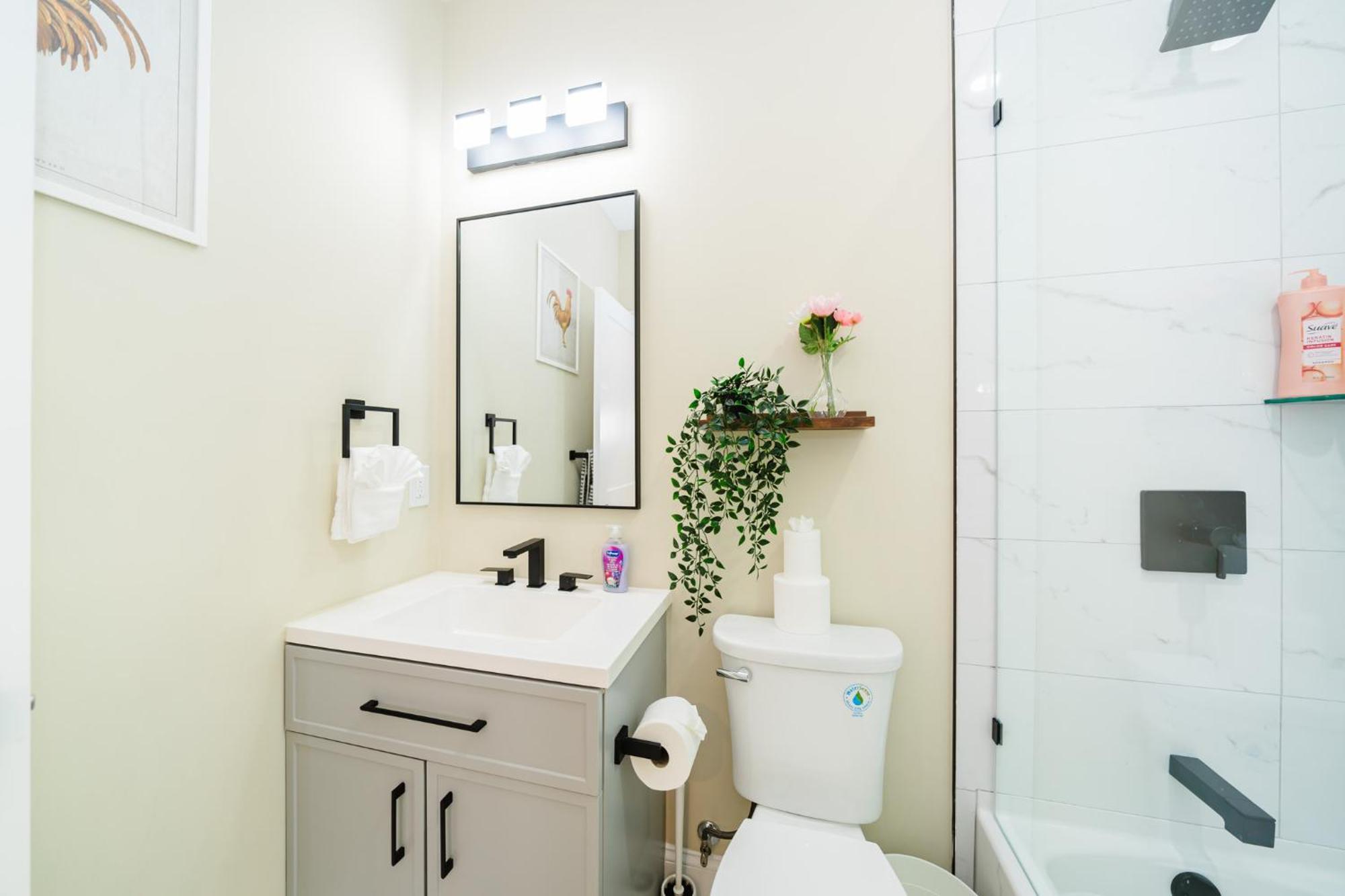 60-3 New Renovated Apartment Boston