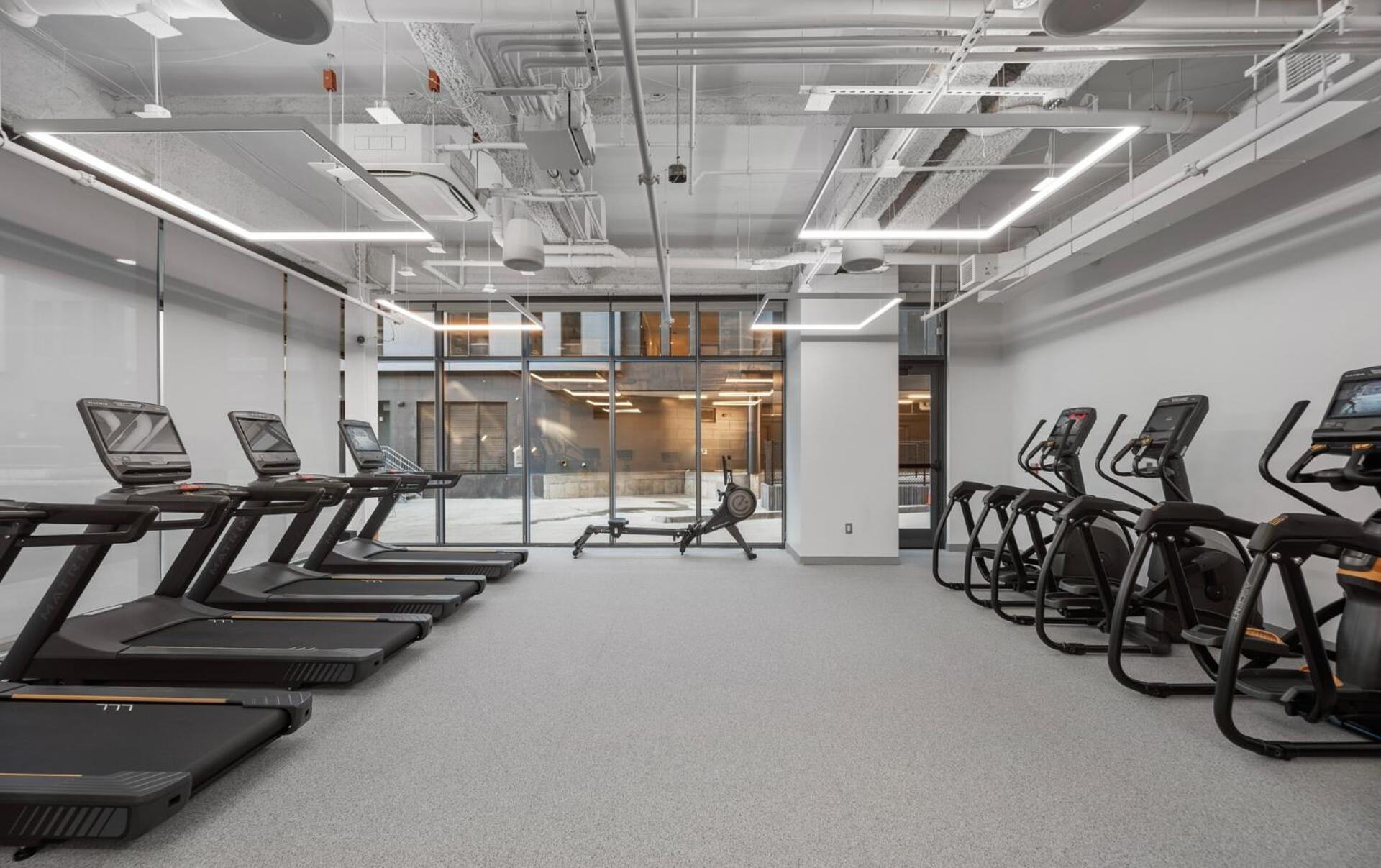 Lux With Sky Terrace And Gym Apartment
